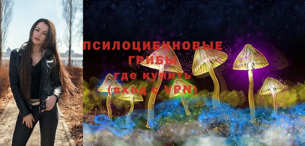стаф Алексеевка