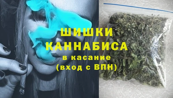 индика Алзамай