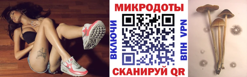 площадка как зайти  гидра рабочий сайт  Чехов  Псилоцибиновые грибы Magic Shrooms 